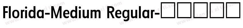 Florida-Medium Regular字体转换